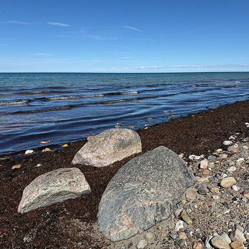 Motiv für Coaching: große und kleine Steine liegen am Meeresstrand.